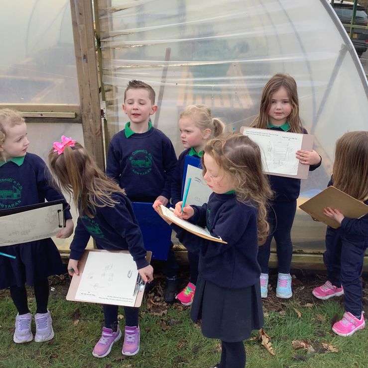 Outdoor maths with P1 and 21